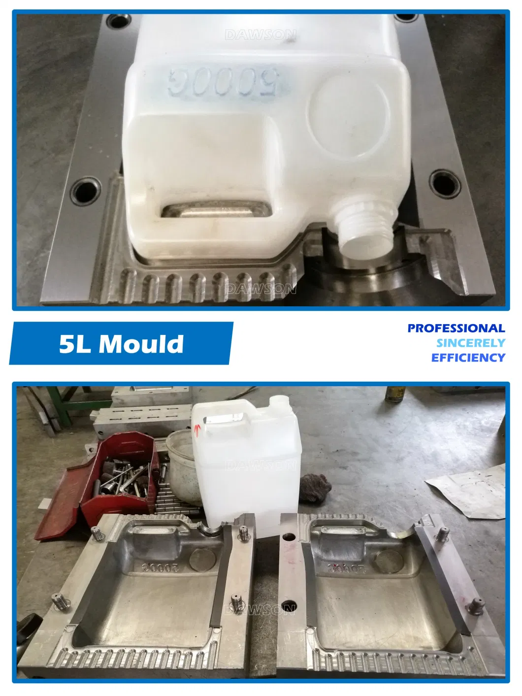 Plastic Blowing Mold for 5L HDPE Bottle with Handle